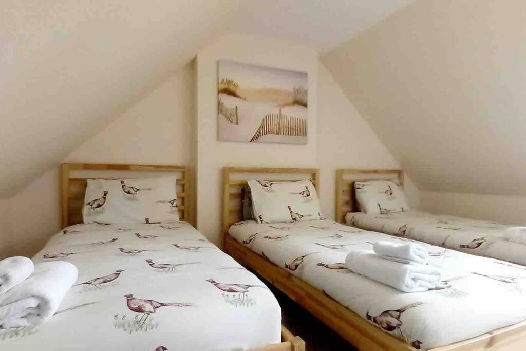 Fraser House - City Centre - Free Parking Villa Inverness Exteriör bild